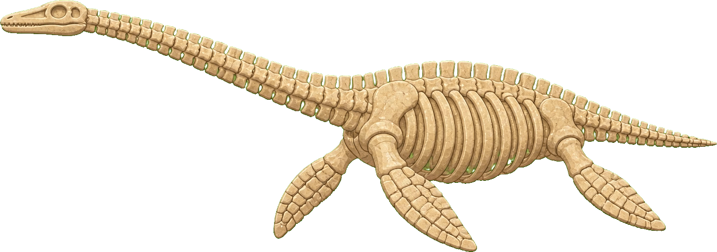 Long-necked marine reptile fossil skeleton
