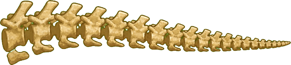 Mineral fossil tail